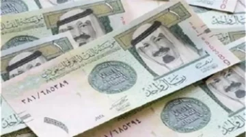 سعر الريال السعودي يثبت استقراره في تعاملات 10 ديسمبر 2025